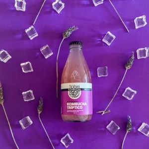 ASÍ SE CONSERVA TEVIVO KOMBUCHA