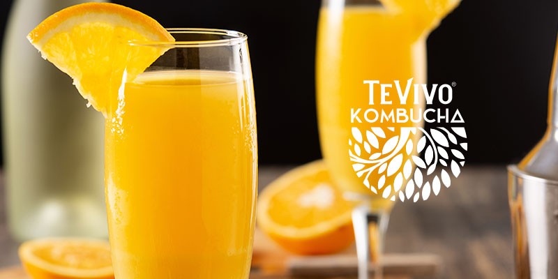 Mimosa de jengibre 