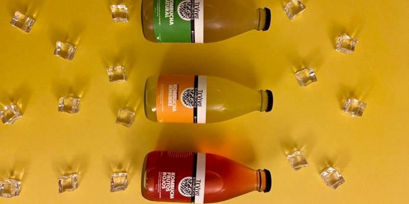 ASÍ SE CONSERVA TEVIVO KOMBUCHA