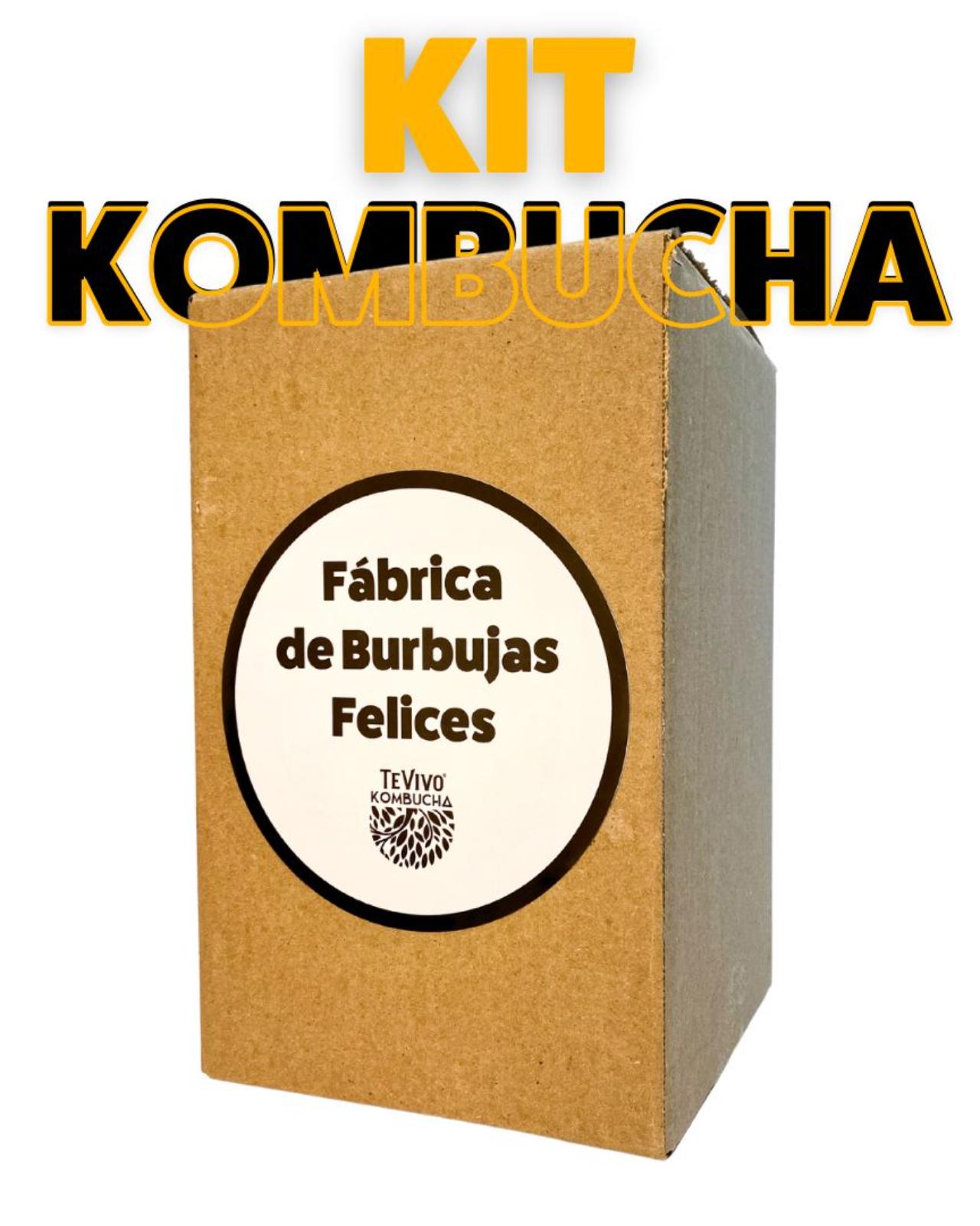 Kit para hacer Kombucha._1