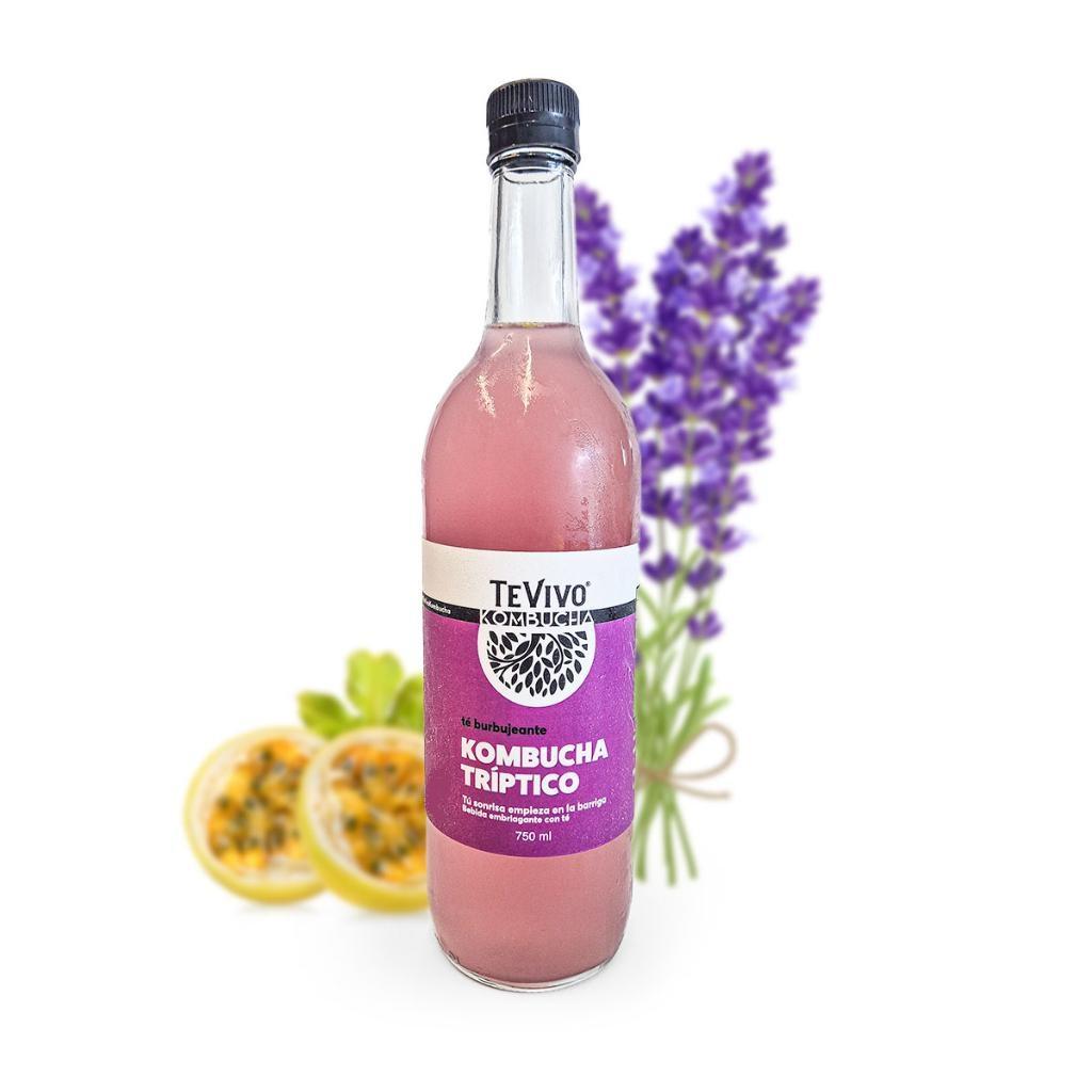 KOMBUCHA TRIPTICO 750 ml x 3 unidades - TeVivo Kombucha