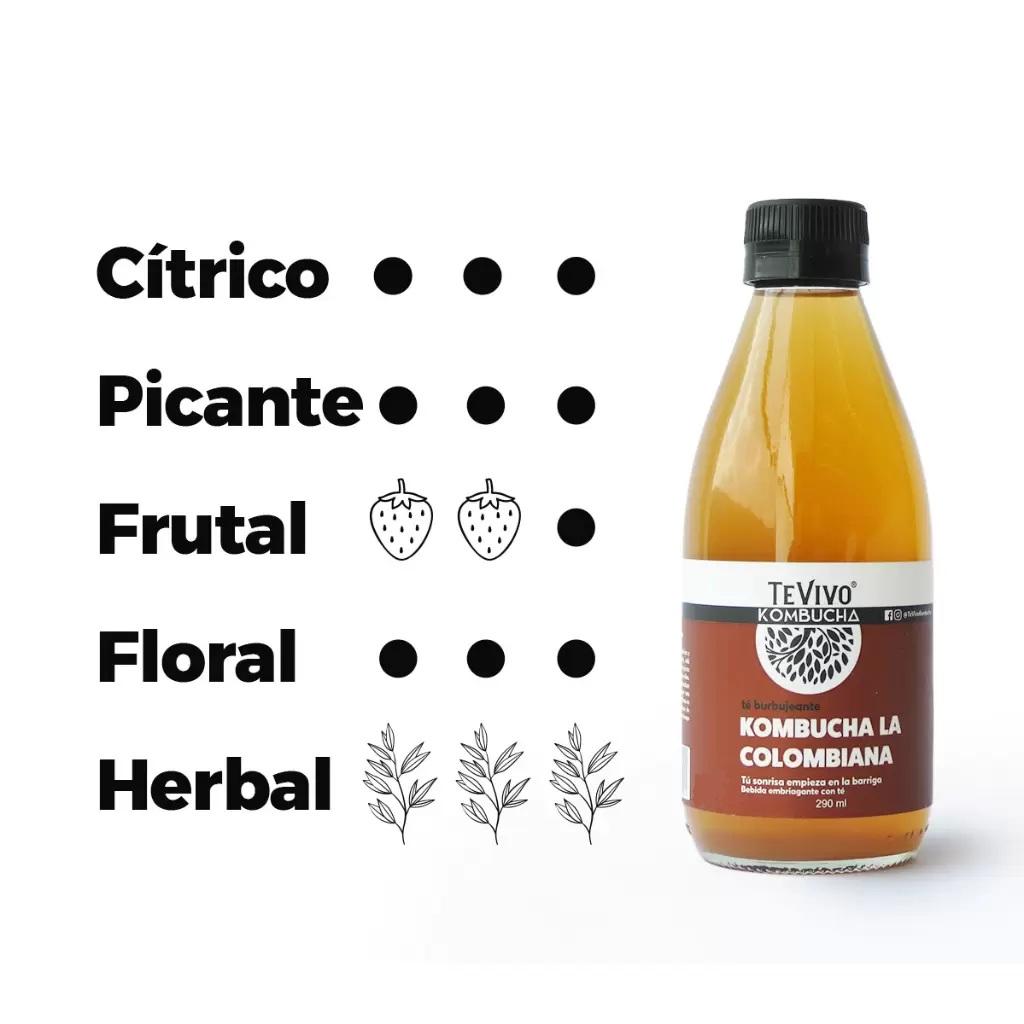 KOMBUCHA LA COLOMBIANA_2