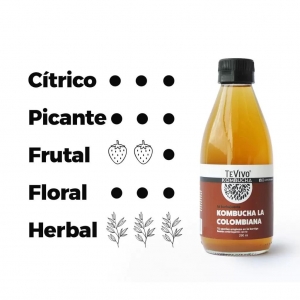 KOMBUCHA LA COLOMBIANA_2