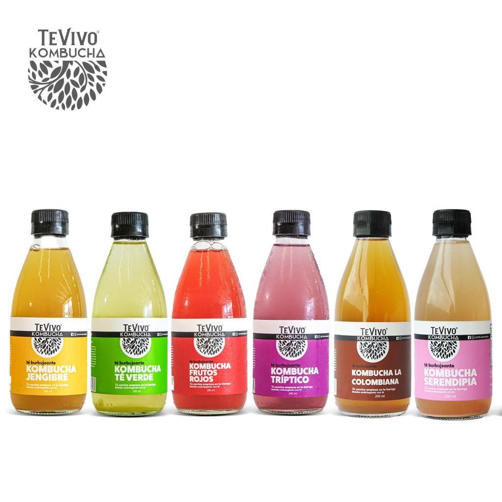 ARMA TU SIX PACK KOMBUCHA - TeVivo Kombucha