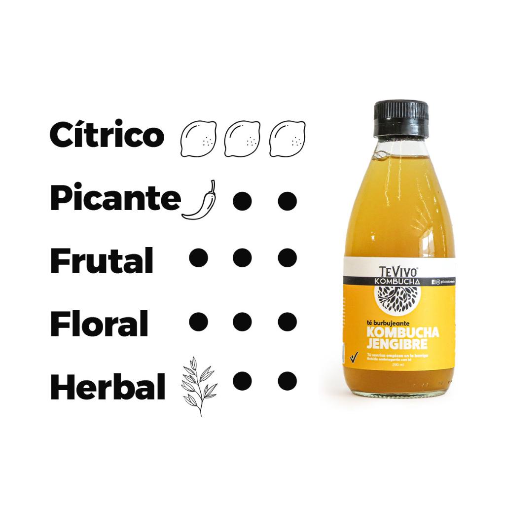 KOMBUCHA JENGIBRE_2