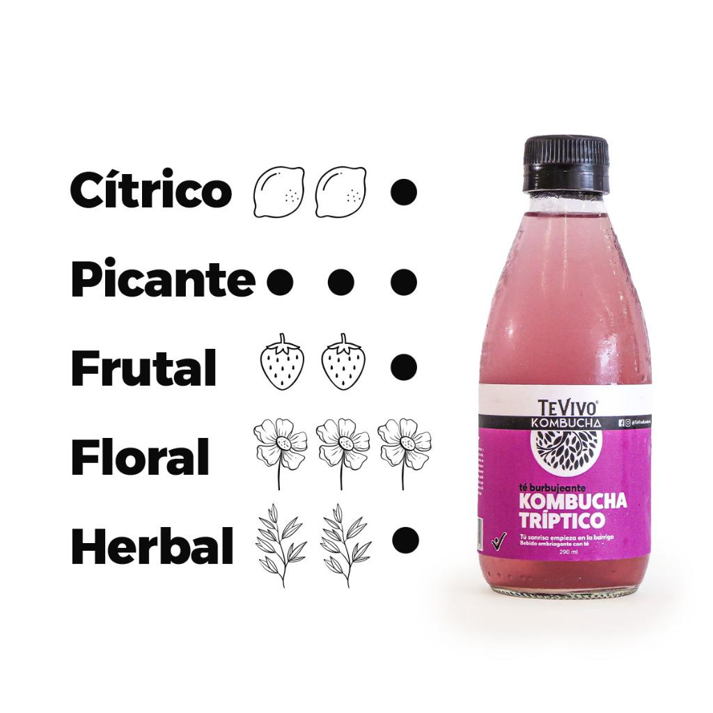 KOMBUCHA TRIPTICO_2