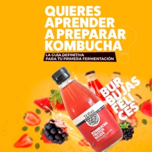GUÍA GRATUITA PARA TU PRIMERA FERMENTACIÓN_1