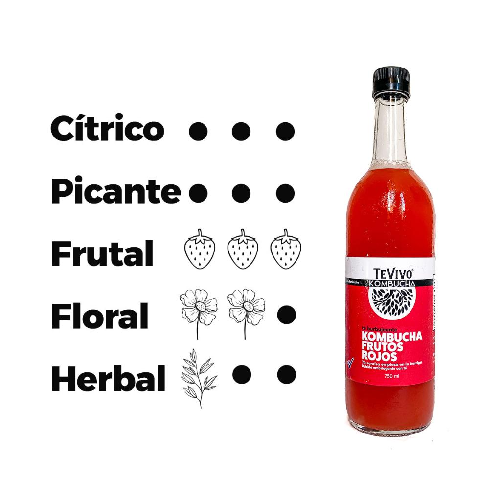 KOMBUCHA FRUTOS ROJOS 750 ml x 3 unidades_2