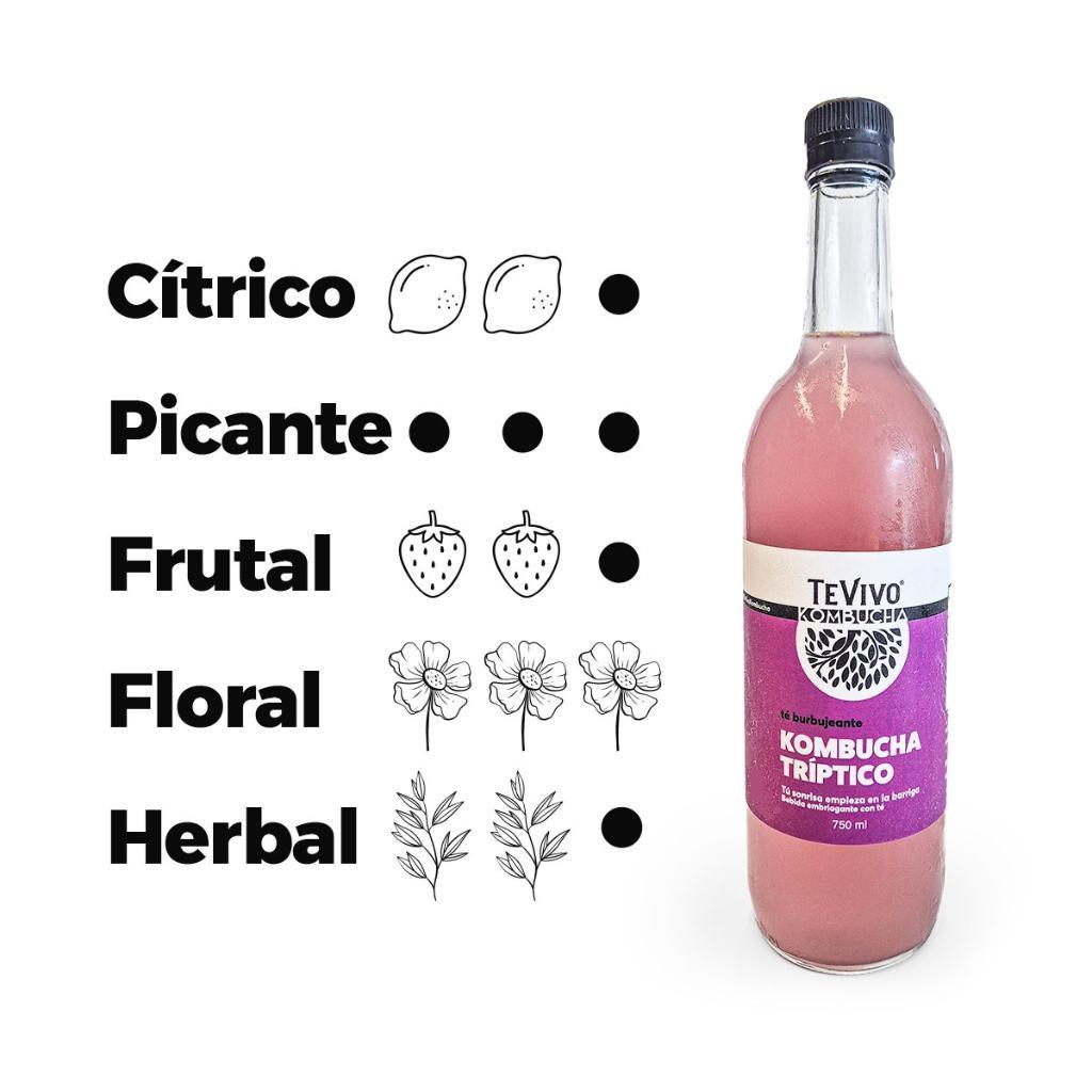 KOMBUCHA TRIPTICO 750 ml x 3 unidades_1