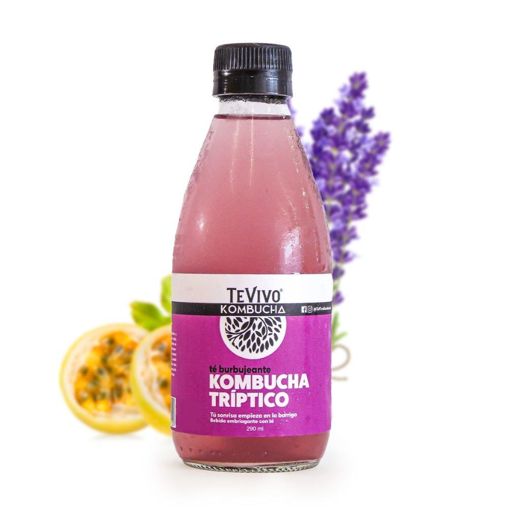 KOMBUCHA TRIPTICO - TeVivo Kombucha