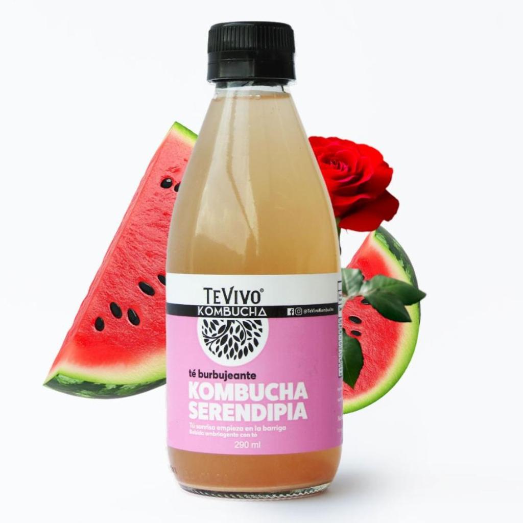KOMBUCHA SERENDIPIA - TeVivo Kombucha