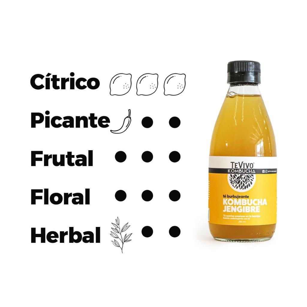 KOMBUCHA JENGIBRE_2