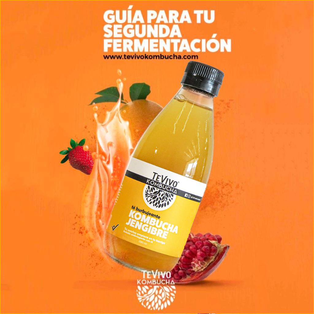 GUÍA GRATUITA SEGUNDA FERMENTACIÓN DE KOMBUCHA_1
