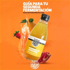 GUÍA GRATUITA SEGUNDA FERMENTACIÓN DE KOMBUCHA_1