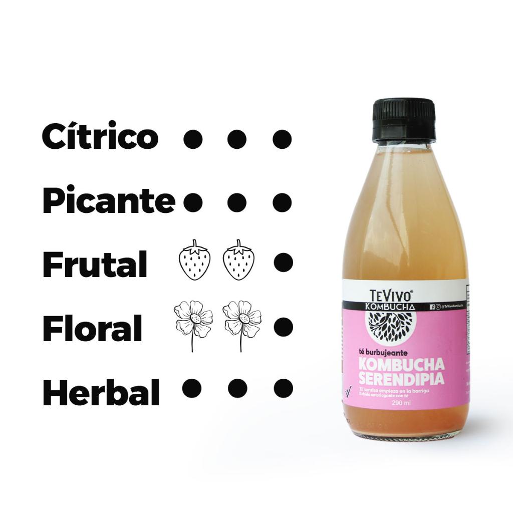 KOMBUCHA SERENDIPIA_2