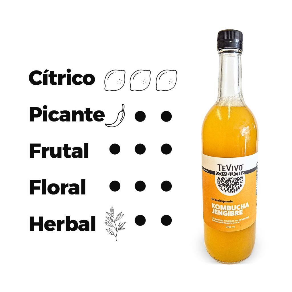 KOMBUCHA JENGIBRE 750 ml x 3 unidades_1