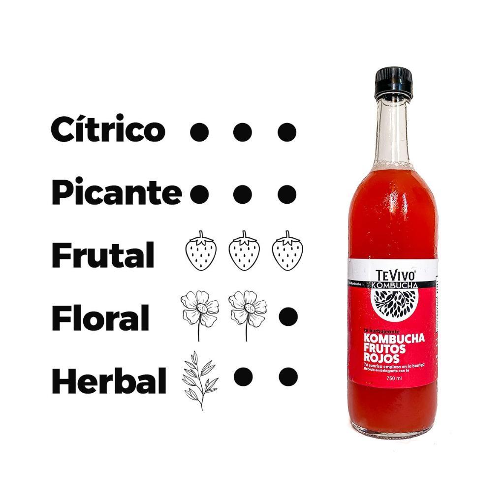 KOMBUCHA FRUTOS ROJOS 750 ml x 3 unidades_1