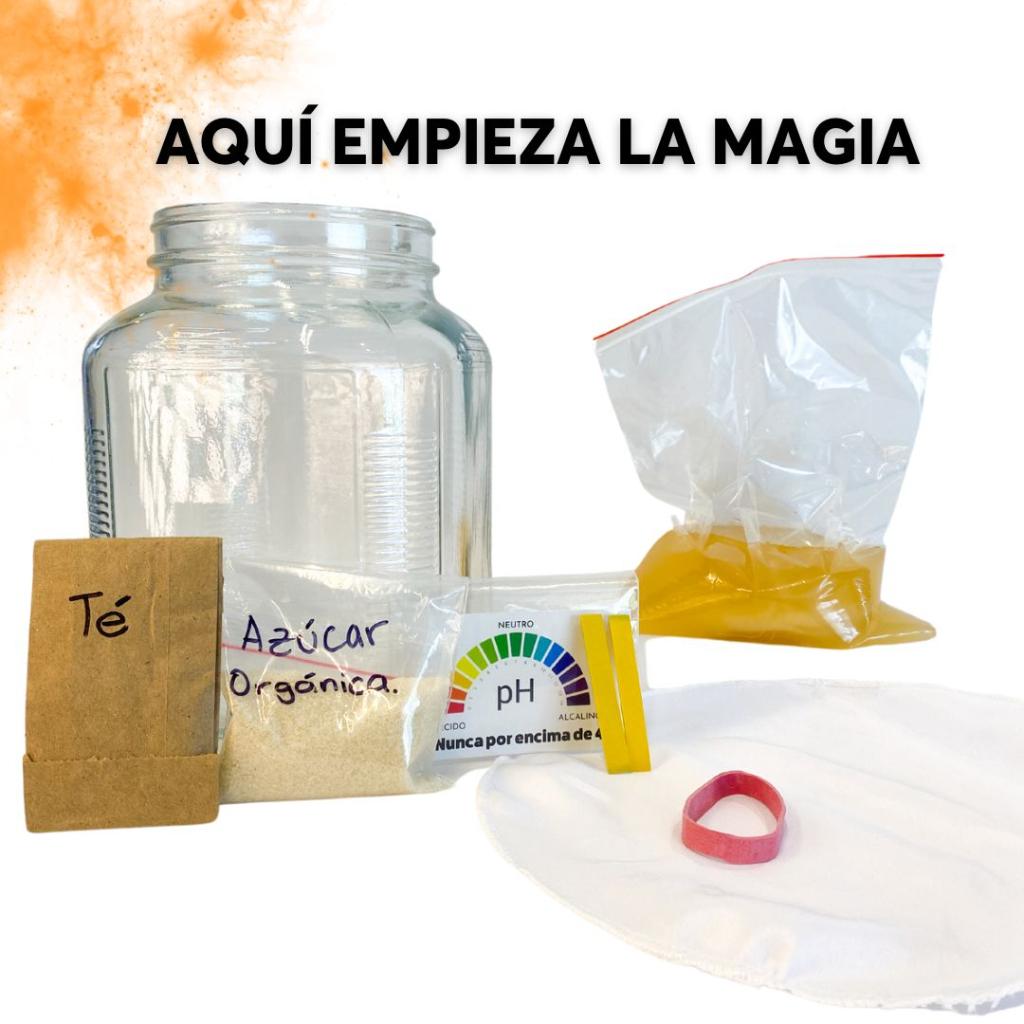 Kit para hacer Kombucha._2