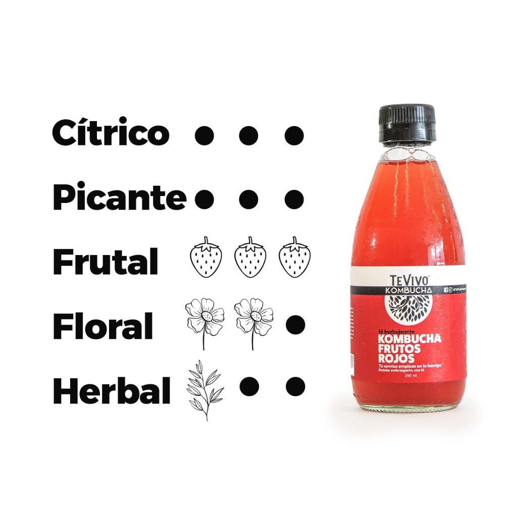 KOMBUCHA FRUTOS ROJOS_2
